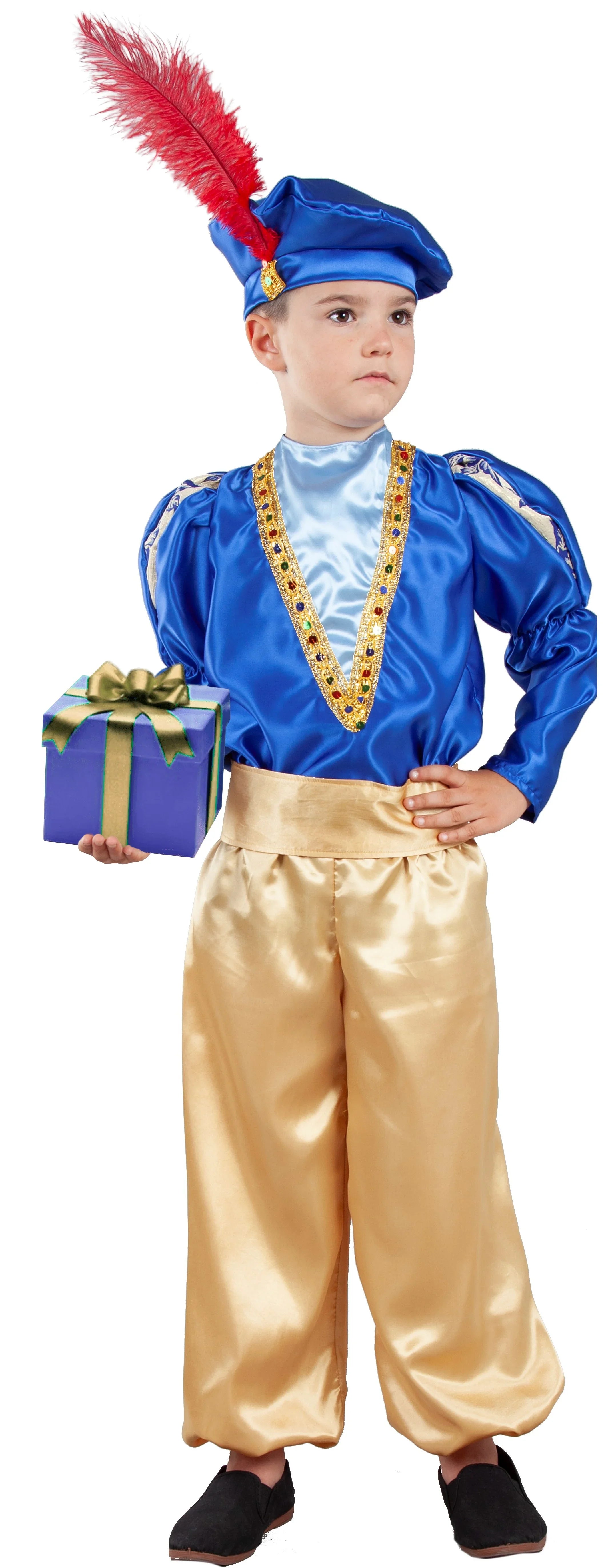 Disfraz de Paje Azul para Niño Reyes Magos y Pajes Fycar